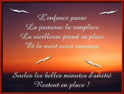 Qualit�s et d�fauts