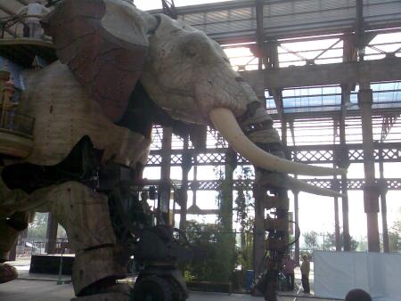 L'�l�phant de l'ile au machine